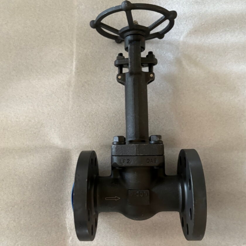 API 602 Globe Valves, ASTM A350 LF2, 2 Inches, CL300 LB, RF