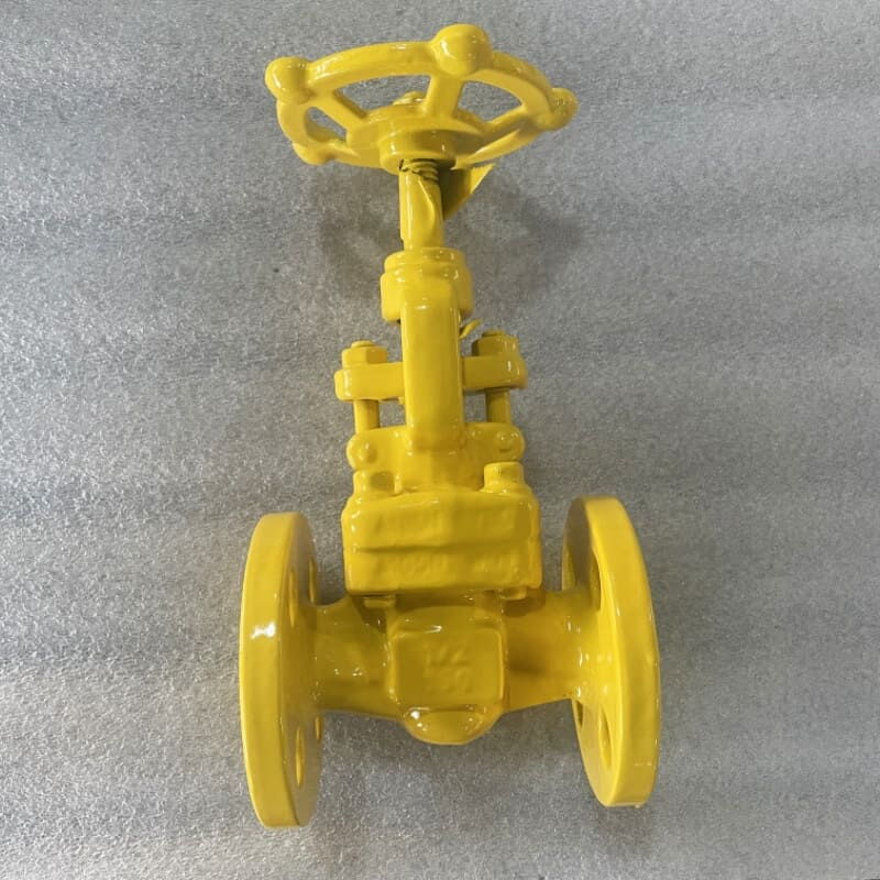 API 602 Stainless Steel Globe Valve, A182 F304,1/2 IN,150 LB