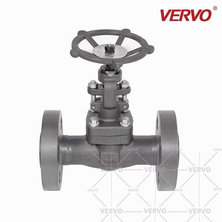 ASTM A105 Globe Valve, 1 Inch, 1500 LB, RF, Manual