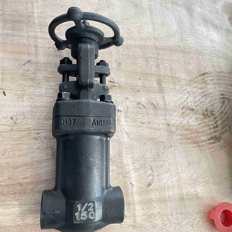 ASTM A105N Bellow Globe Valve, 1/2 Inch, 150 LB, API 602, SW