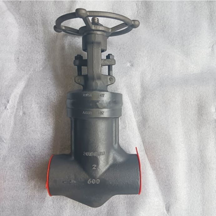 ASTM A105N Bellow Globe Valves, API 602, Class 600, 2 Inches