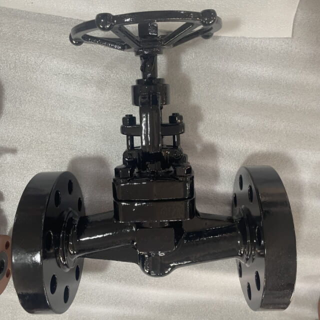 ASTM A105N Bellows Globe Valve, 600 LB, 1 Inch, API 602, BB