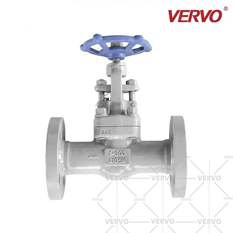 ASTM A105N Flanged Globe Valve, 1 Inch, 300 LB, API 602