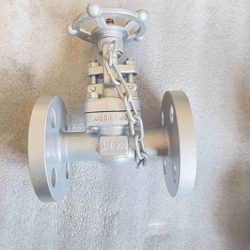 ASTM A105N Globe Valve, API 602, 3/4 Inch, 300 LB, BB, RF