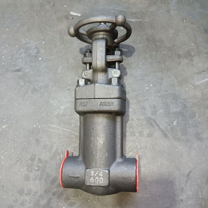 ASTM A105N Globe Valve, API 602, CL 600 LB, 3/4 Inch, BB, SW