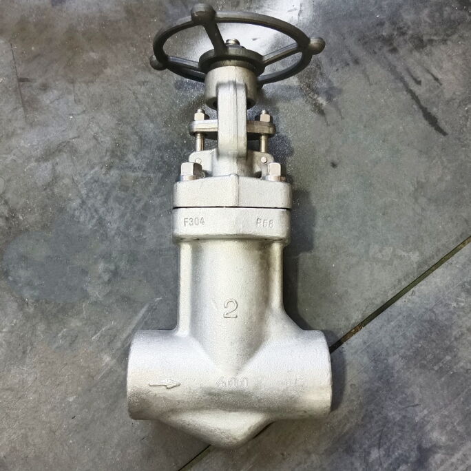 ASTM A182 F304 Bellow Seal Globe Valve, API 602, 2IN, CL600