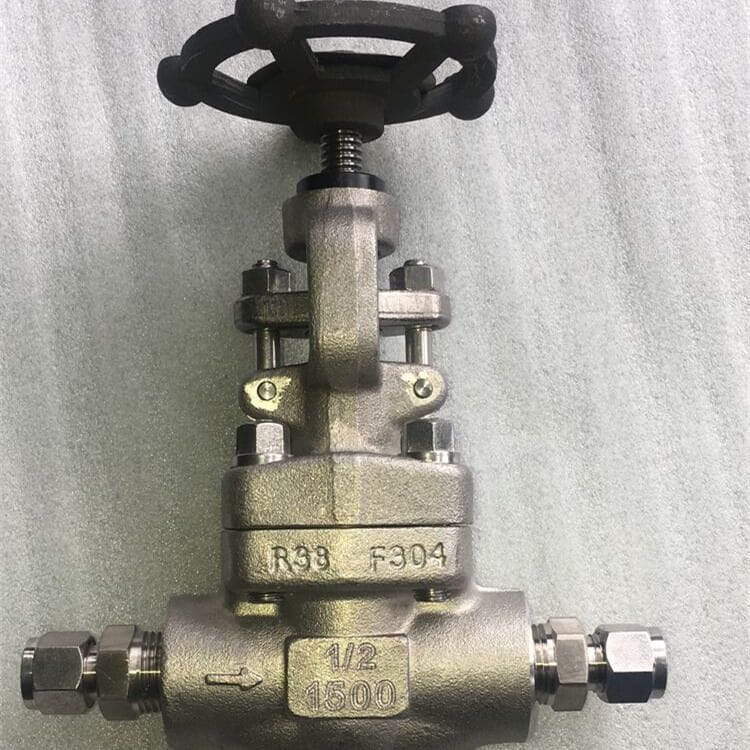 ASTM A182 F304 Bolted Bonnet Globe Valve, 1/2 Inch, 1500 LB