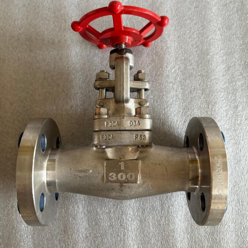 ASTM A182 F304 Globe Valve, API 602, 1 IN, CL300, RF Flanged