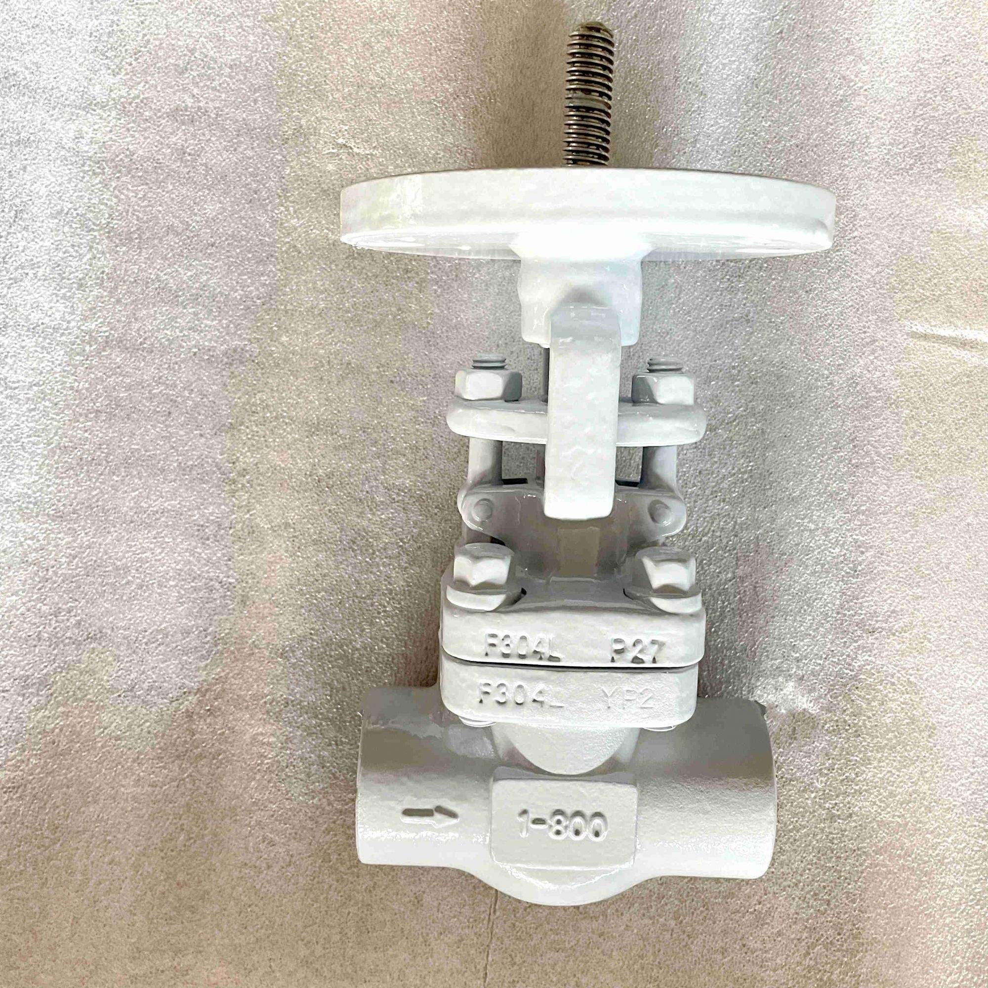 ASTM A182 F304L Globe Valve, 1 Inch, 800 LB, API 602, SW
