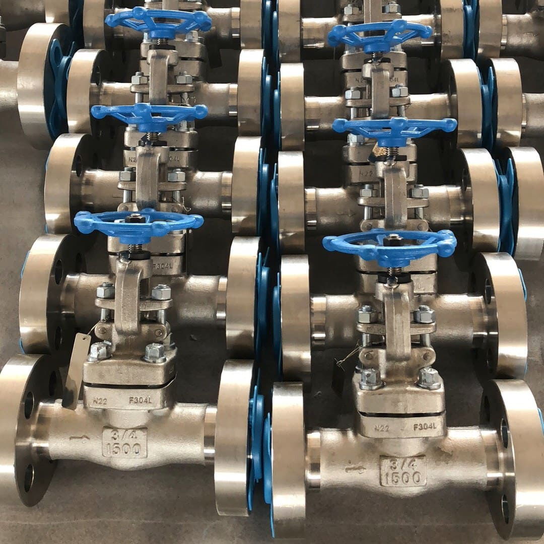 ASTM A182 F304L Globe Valves, API 602, 3/4 Inch, CL 1500 LB