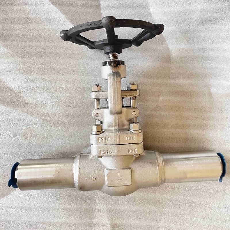 ASTM A182 F316 Globe Valve, 1 Inch, 800 LB, API 602, BW