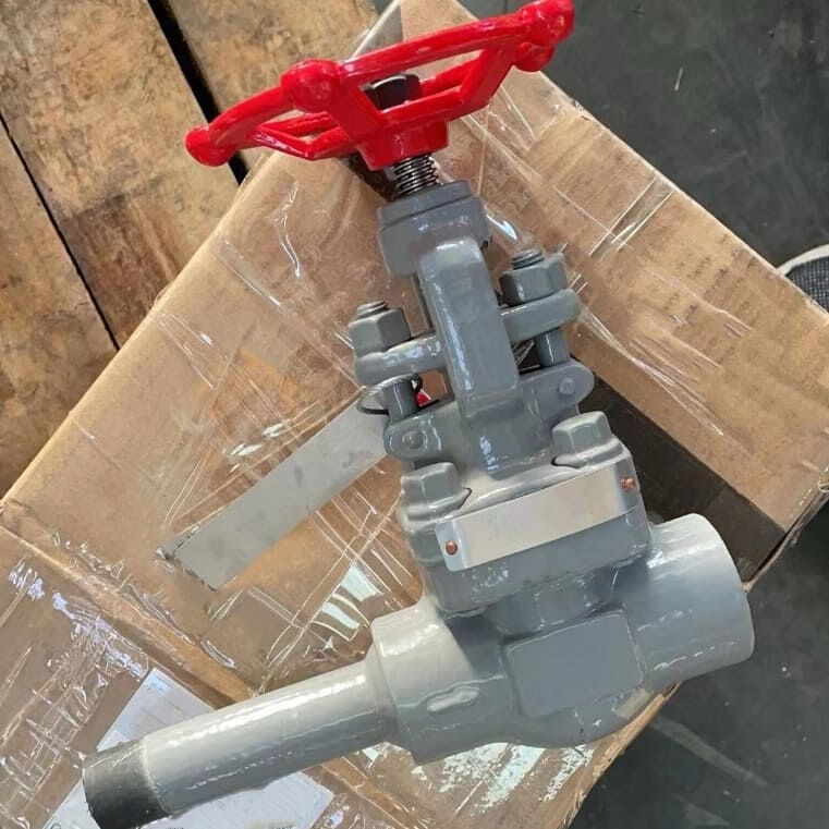 ASTM A182 F316 Globe Valve, API 602, 800 LB, 1 Inch, RF