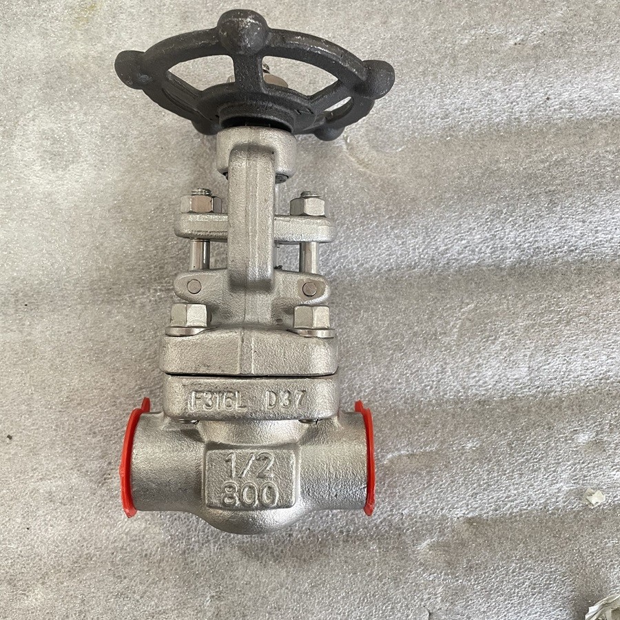 ASTM A182 F316L Globe Valve, 1/2 Inch, 800 LB, API 602, NPTF