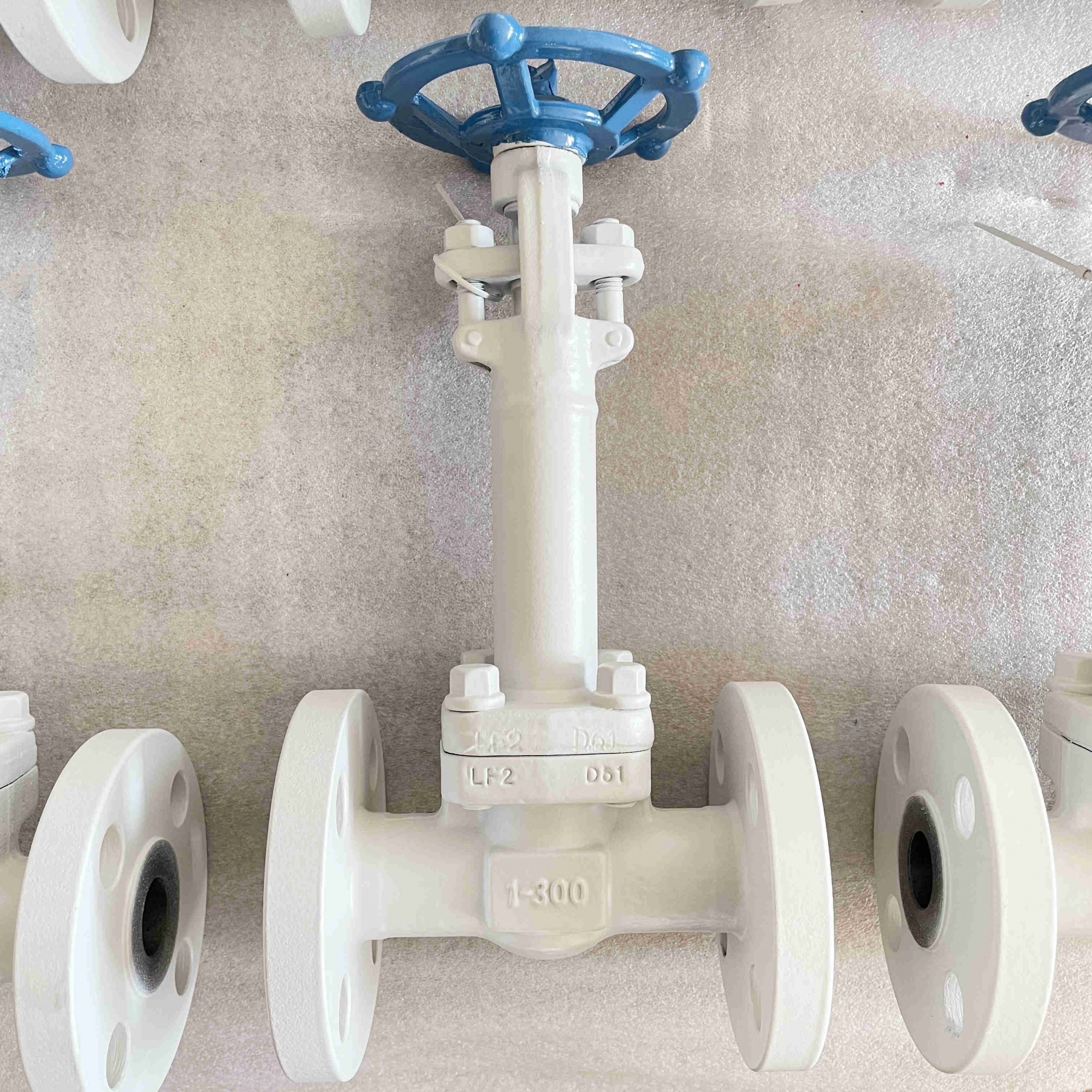 ASTM A350 LF2 Globe Valve, 1 IN, 300 LB, API 602, Extended Stem