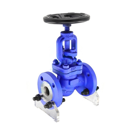 ASTM A351 CF3 Globe Valve, 2 Inch, 150 LB, BS 1873, RF
