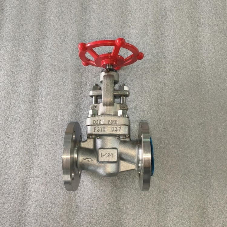 Bolted Bonnet Globe Valve, A182 F316, 1IN, CL150, RF Flanged