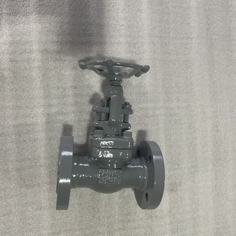 BS 5352 Carbon Steel Globe Valves, DN25, PN16, ASTM A105N