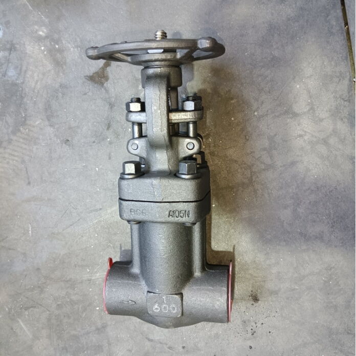 Carbon Steel Bellow Globe Valve, ASTM A105N, 1 IN, 600 LB