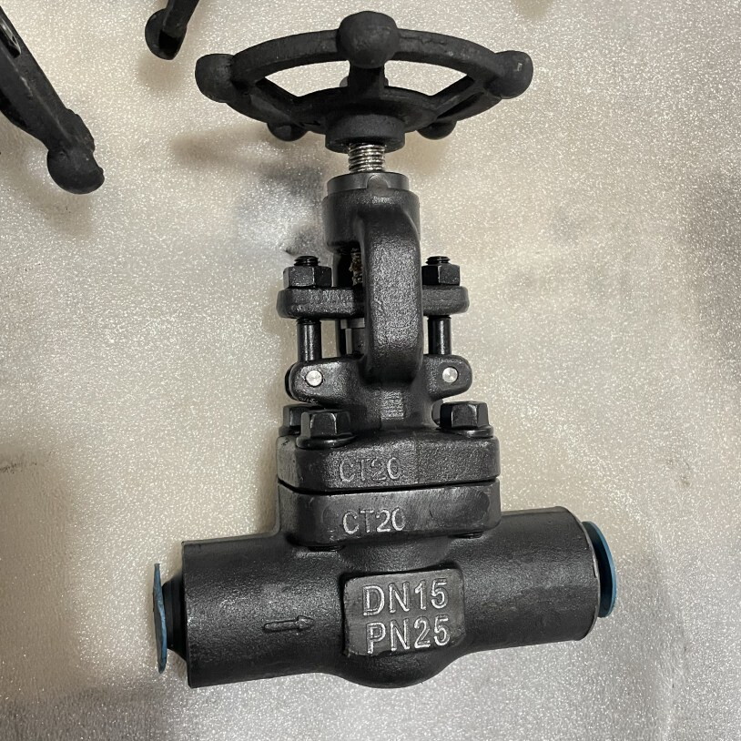 GOST 12820-80 Gr.CT20 Globe Valve, DN15, PN25, API 602, BW