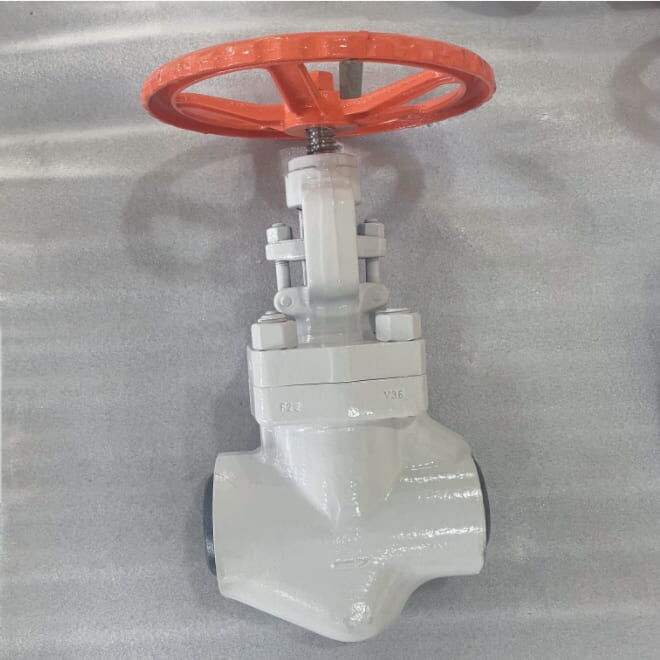 High Temperature Globe Valve, A182 F22, 800 LB, 2-1/2 Inch