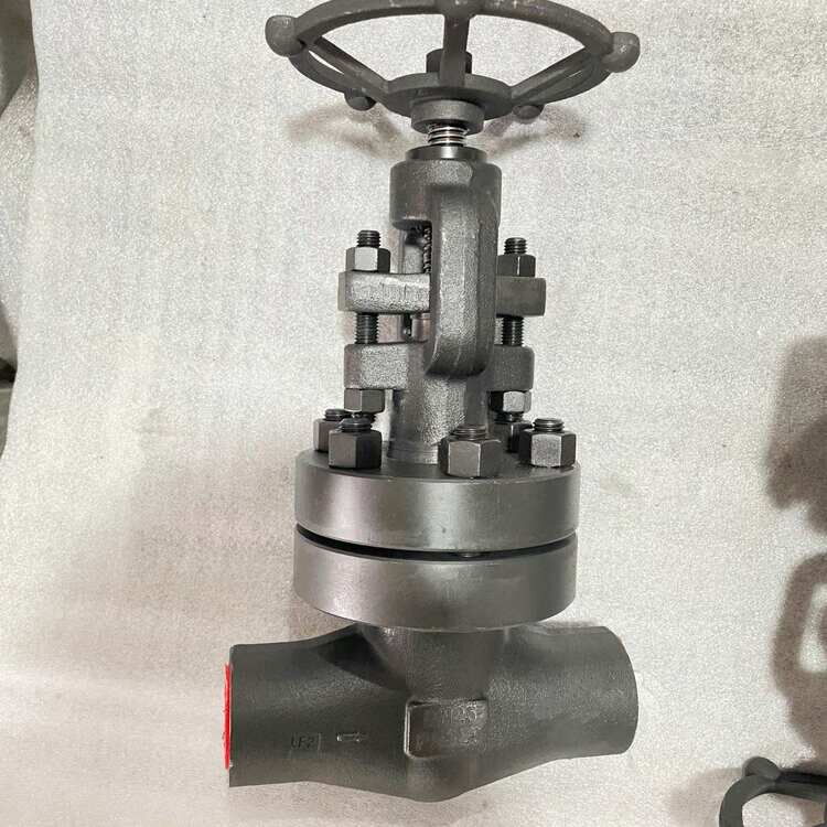 Low-temperature Carbon Steel Globe Valve, LF2, DN25, PN320