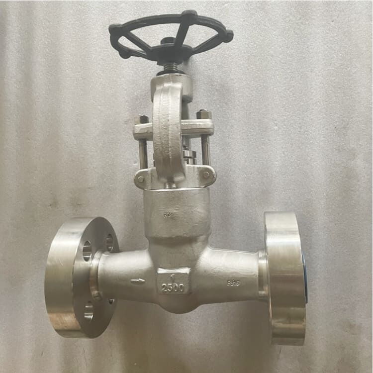 Pressure Seal Bonnet Globe Valve, API 602, F316, 1IN, CL2500
