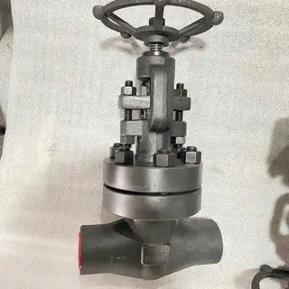 Low-temperature Carbon Steel Globe Valve, LF2, DN25, PN320