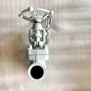 ASTM A105N Bolted Bonnet Globe Valve, API 602, 1 IN, 800 LB