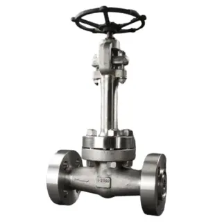 ASTM A182 F304 Cryogenic Globe Valve, 1 Inch, 2500 LB, RF