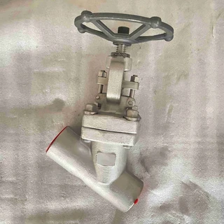ASTM A182 F316 Y Globe Valve, 2 Inch, 800 LB, API 602, SW