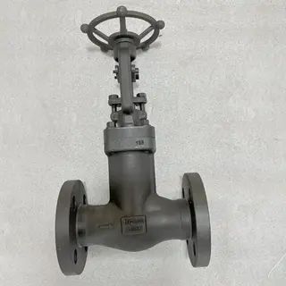 Bellow Sealed Globe Valves, API 602, A105N, 1-1/2 IN, 300 LB