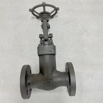 Bellow Sealed Globe Valves, API 602, A105N, 1-1/2 IN, 300 LB