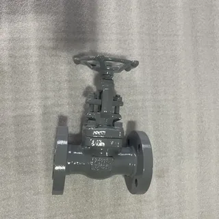 BS 5352 Carbon Steel Globe Valves, DN25, PN16, ASTM A105N