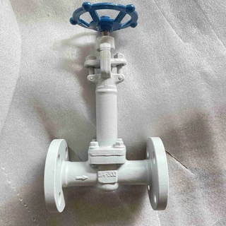 API 602 Bolted Bonnet Globe Valve, 3/4 Inch, 300 LB, A350 LF2, RF