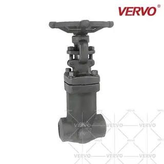 Bellows Sealed Globe Valve, 1-1/4 Inch, 300 LB, BW