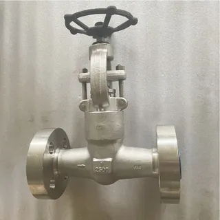 Pressure Seal Bonnet Globe Valve, API 602, F316, 1IN, CL2500