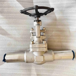 ASTM A182 F316 Globe Valve, 1 Inch, 800 LB, API 602, BW