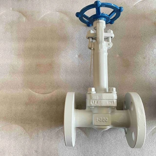 ASTM A350 LF2 Extended Stem Globe Valve, 1 Inch, 300 LB, API 602, RF