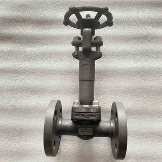 Reduce Bore Globe Valve, ASTM A105N, API 602, 3/4 IN, 300 LB