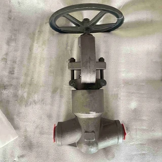 ASTM A182 F11 Globe Valve, Pressure Seal Bonnet, 2 Inch, 2500 LB, BW