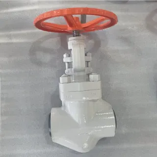 High Temperature Globe Valve, A182 F22, 800 LB, 2-1/2 Inch