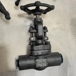 GOST 12820-80 Gr.CT20 Globe Valve, DN15, PN25, API 602, BW