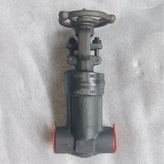 API 602 Bellow Globe Valve, Carbon Steel, 3/4 IN, 600 LB, SW