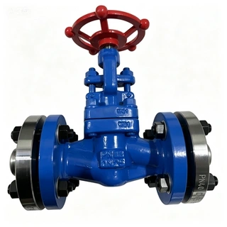 Forged Steel Globe Valve, API 602, ASTM A105, DN25, PN40
