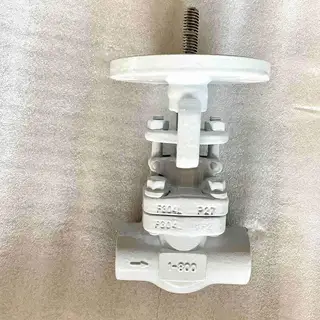 ASTM A182 F304L Globe Valve, 1 Inch, 800 LB, API 602, SW