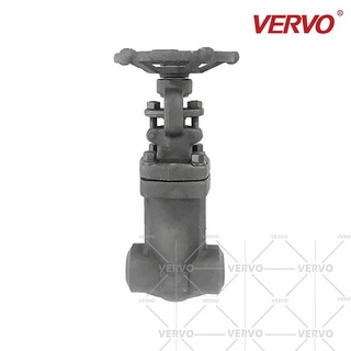 Bellows Control Sealed Globe Valves, DN32, PN40, ASTM A105N