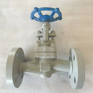 API 602 Carbon Steel Globe Valve, ASTM A105N, 1 IN, 600 LB