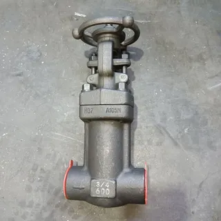 ASTM A105N Globe Valve, API 602, CL 600 LB, 3/4 Inch, BB, SW
