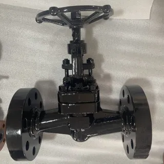 ASTM A105N Bellows Globe Valve, 600 LB, 1 Inch, API 602, BB