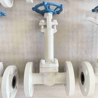 ASTM A350 LF2 Globe Valve, 1 IN, 300 LB, API 602, Extended Stem